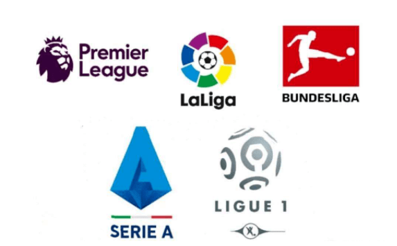 希望通过本 希望通过本